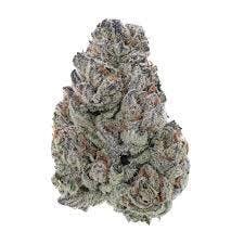 Fantasy Farms | Nightshade | Deli-Style Flower