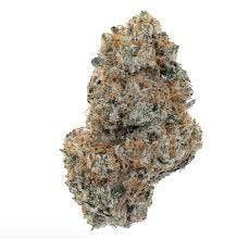 Fantasy Farms | Plasma Jelly | Deli-Style Flower