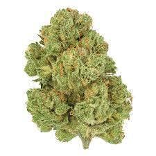 Fantasy Farms | Moon Berry | Deli-Style Flower
