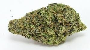Common Citizen | Tropical Burst | Deli-Style Flower (Smalls)