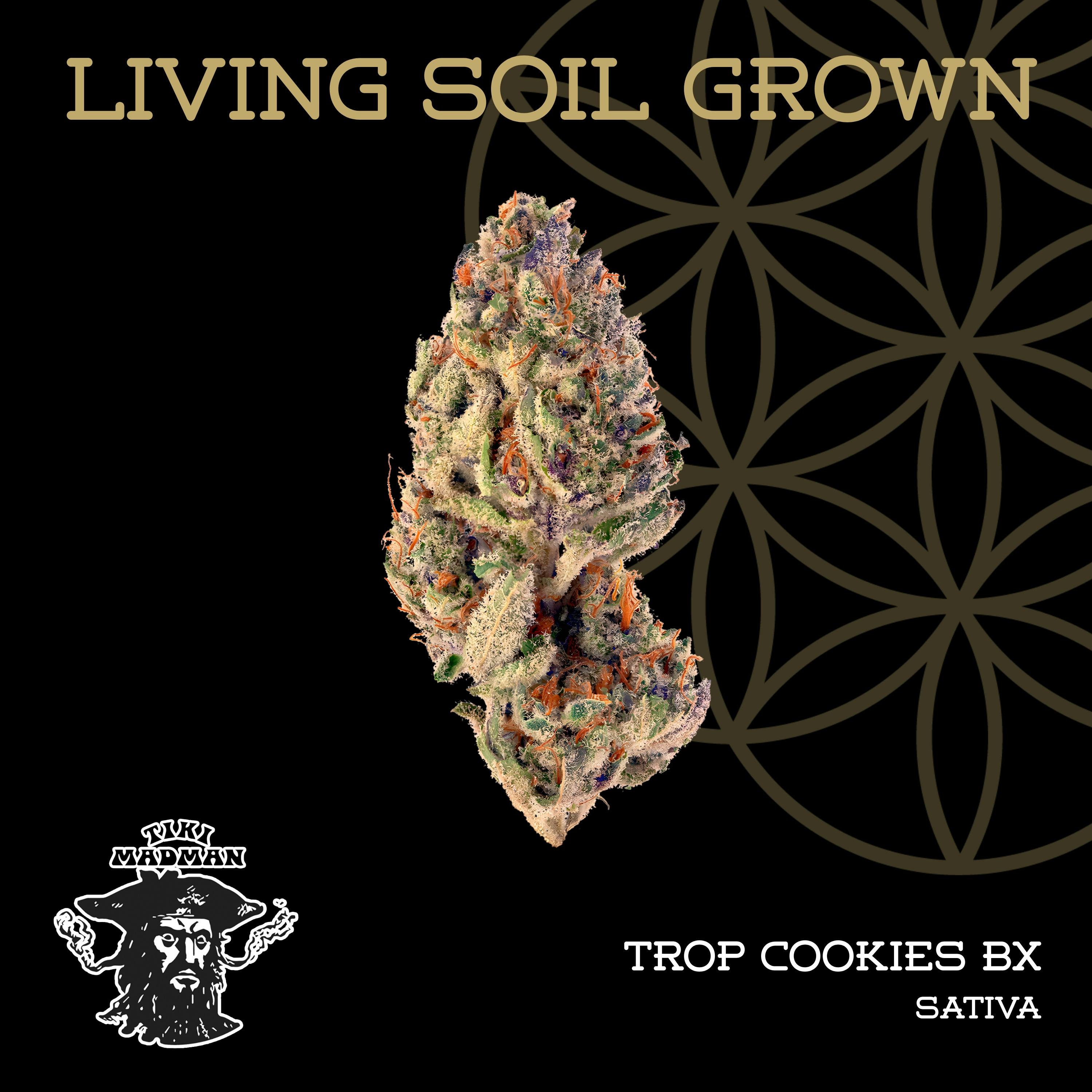 Flower Of Life | Tropicana Cookies | Deli-Style Flower