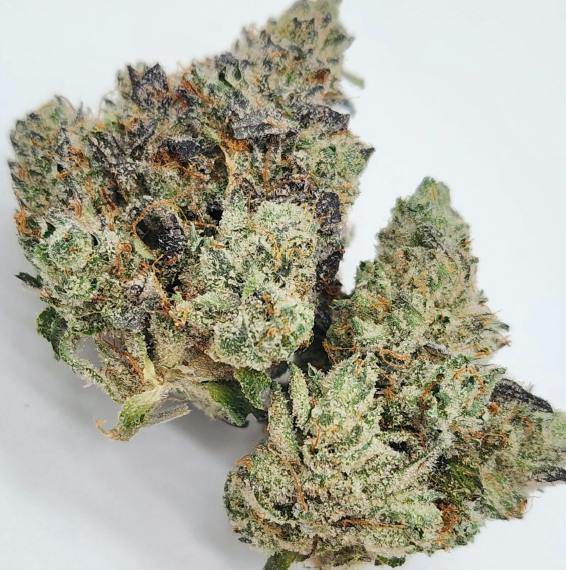 Mellow Gnome - Flower - 91 Octane - 3.5g