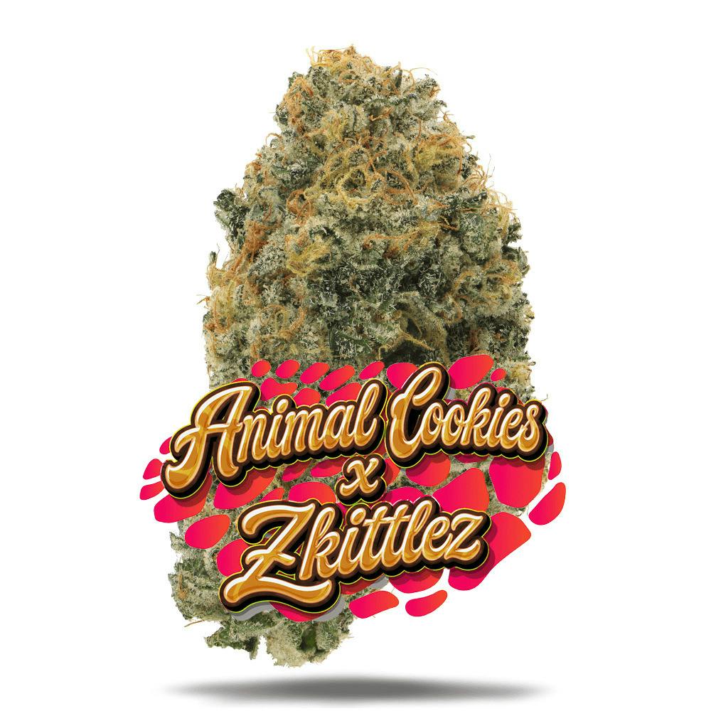 Animal Cookies x Zkittlez - 1/8 oz Premium Flower