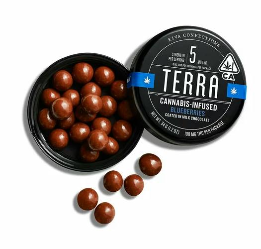 TERRA BITES | EDIBLE | MILK CHOCOLATE BLUEBERRIES | 100MG - 100 mg