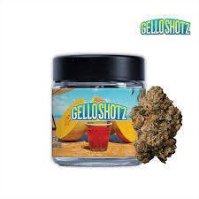 SEED JUNKY | FLOWER | GELLO SHOTZ | S - 3.5 g