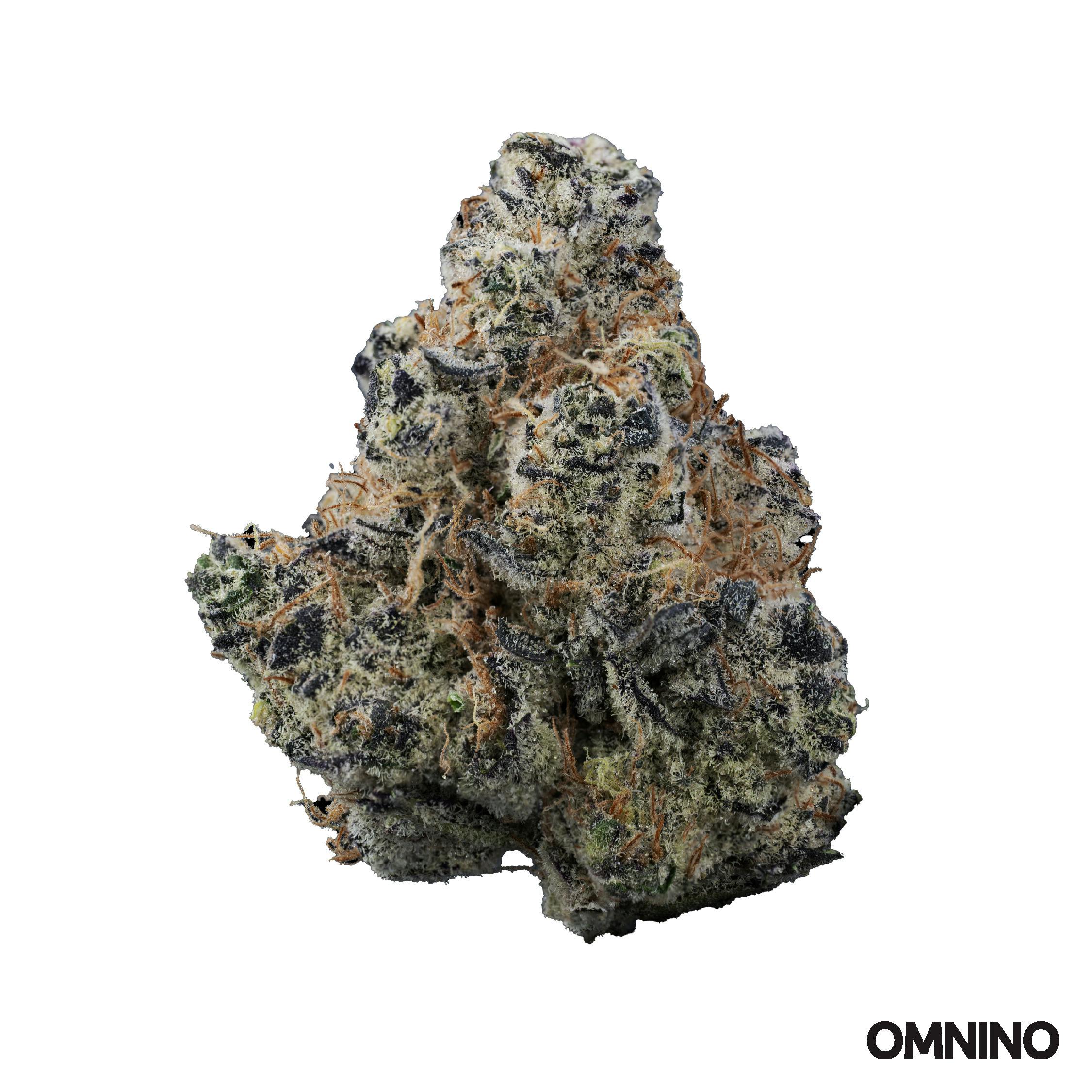 Deli Style Emerald Tier - GovernMint Oasis