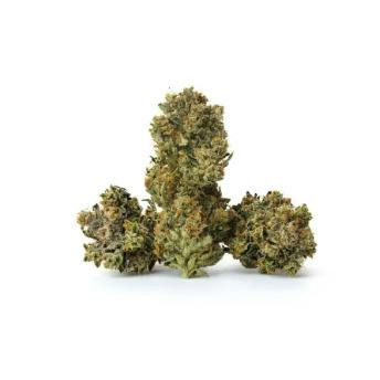 Deli Style Value Tier - Frosted Oranges Smalls (Noxx) at Cookies Grand Rapids Dispensary