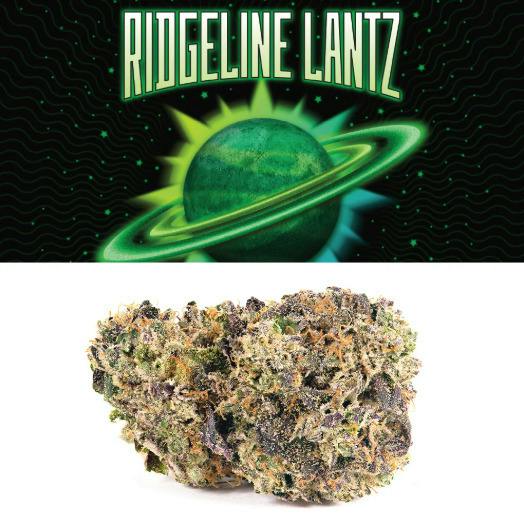 Deli Style Premium Spotlight- Ridgeline Lantz cannabis product