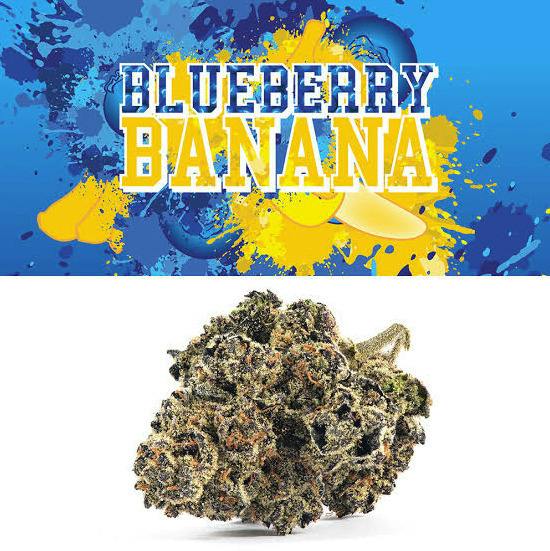 Deli Style Premium Spotlight- Blueberry Banana