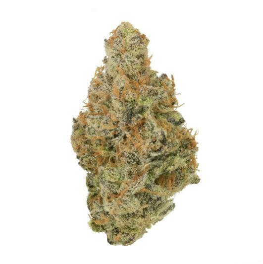 Deli Style Diamond Tier - Jesus OG