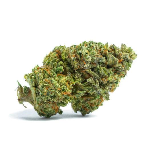 Deli Style Diamond Tier - Siesta Key OG