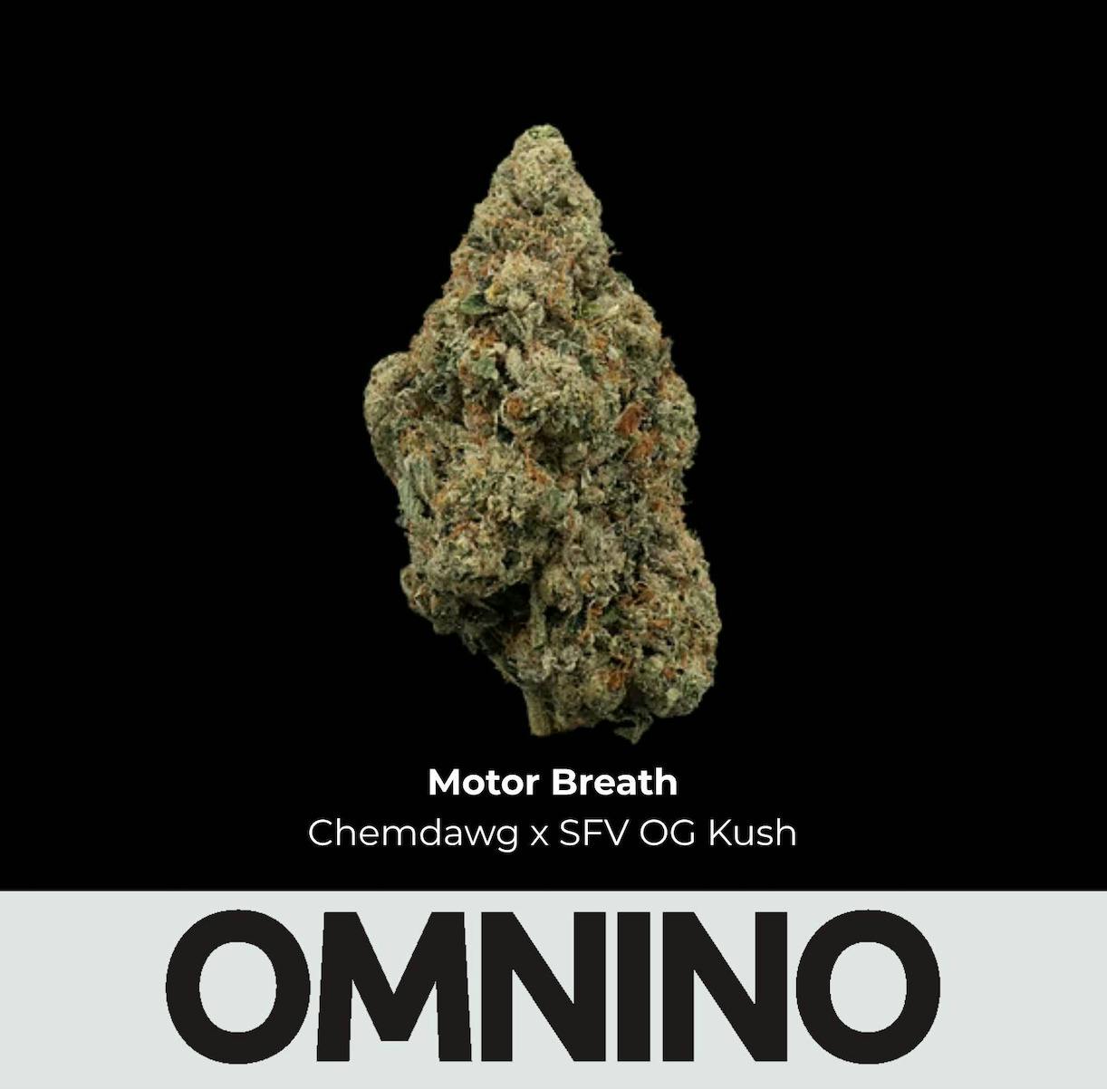 Deli Style Emerald Tier - Motor Breath cannabis product