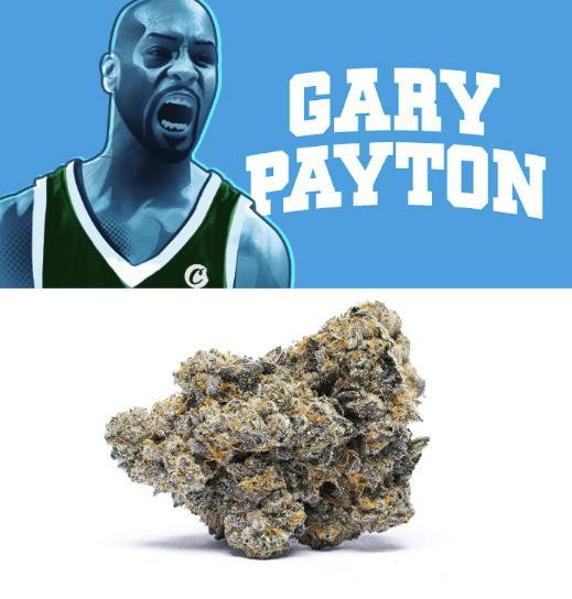 Deli Style Premium Spotlight- Gary Payton
