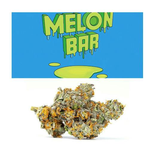 Deli Style Premium Spotlight- Melon Bar