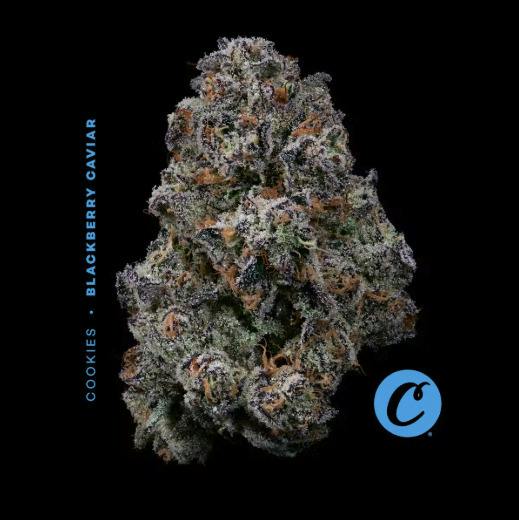 Deli Style Premium Spotlight- Blackberry Caviar