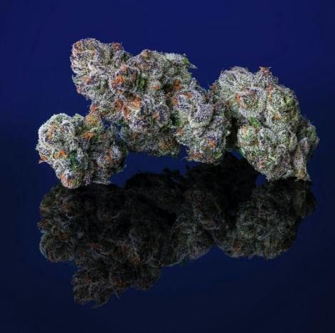 Deli Style Premium Spotlight- Blueberry Caviar