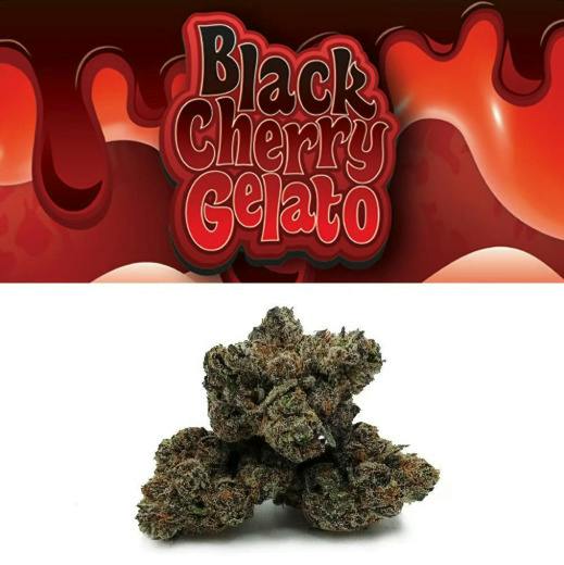 Deli Style Premium Spotlight- Black Cherry Gelato