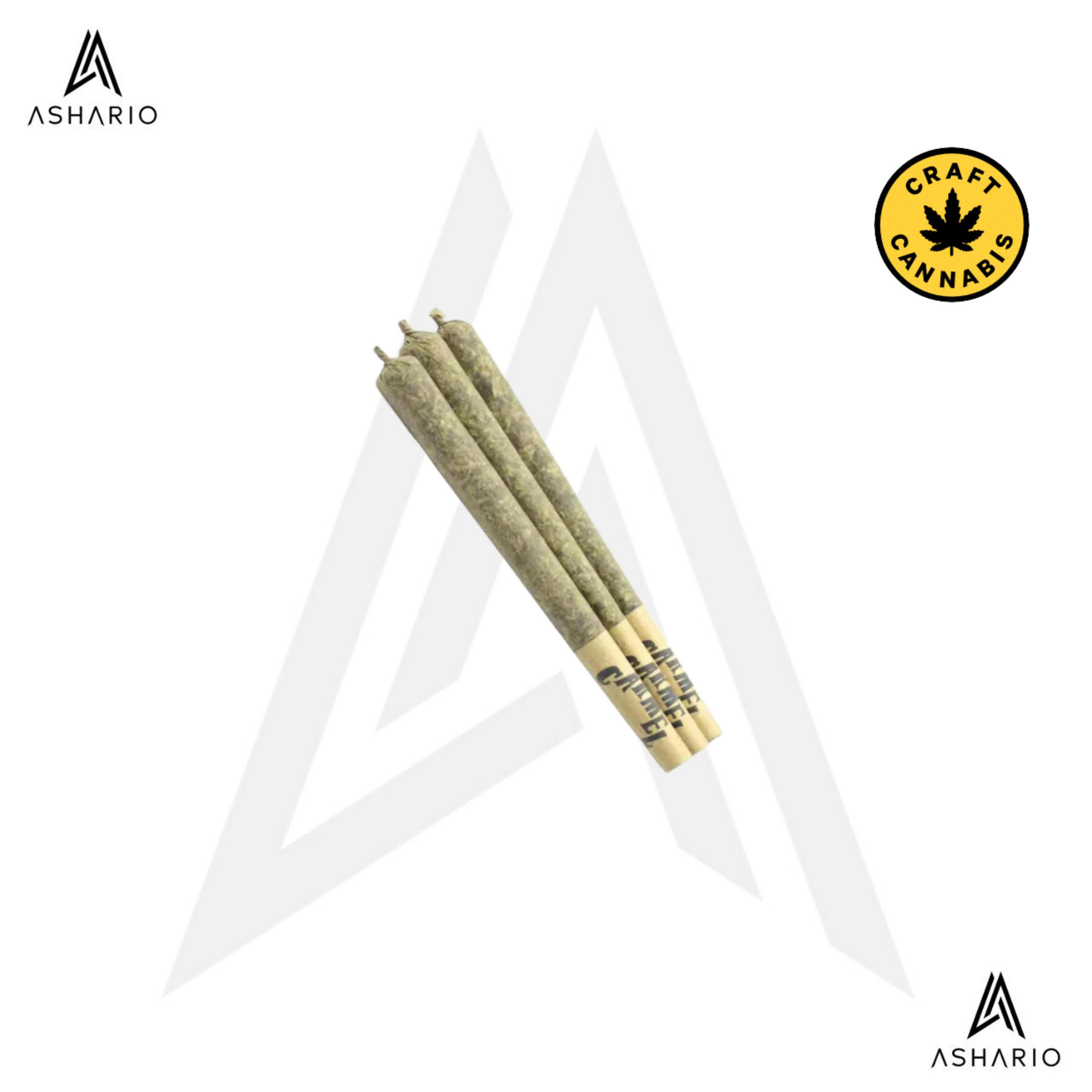 Animal Face | 3x0.5g