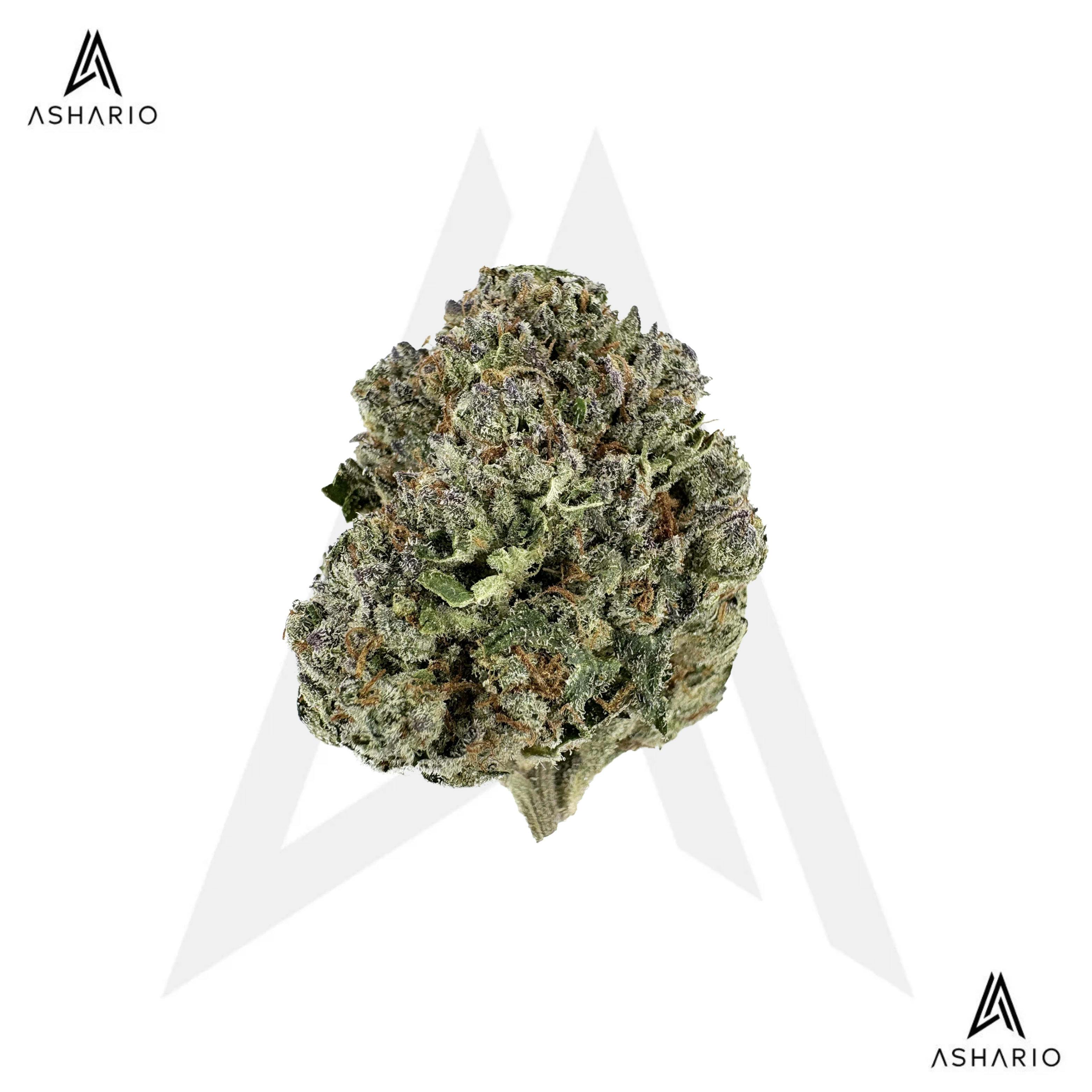 Marshmallow OG | 1g