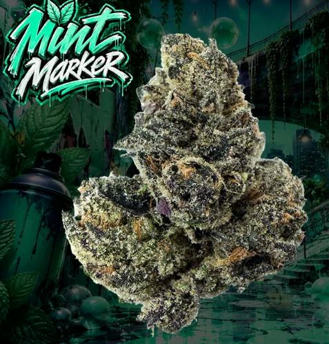 EXOTICS -: Mint Marker
