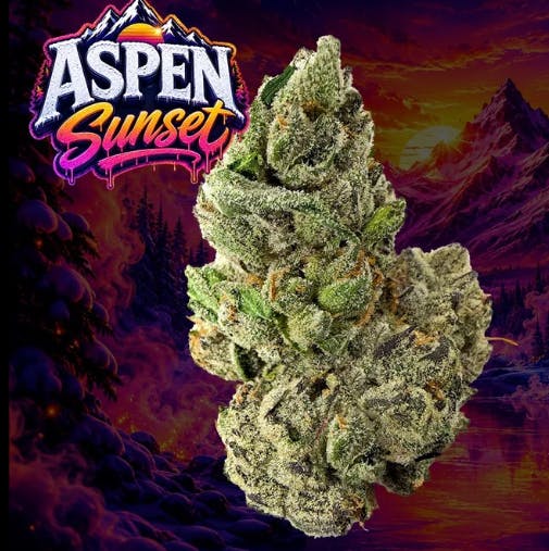 EXOTICS -: Aspen Sunset