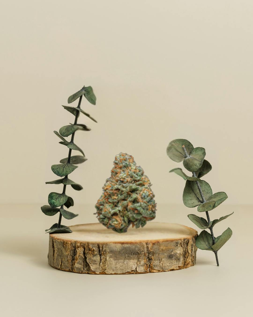 3.5g | Pre-Pack Flower | CornerStore Cultivation