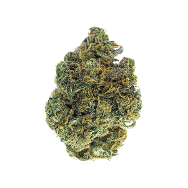 TRAPPER'S CHOICE | SNOWBLOWER | 3.5G