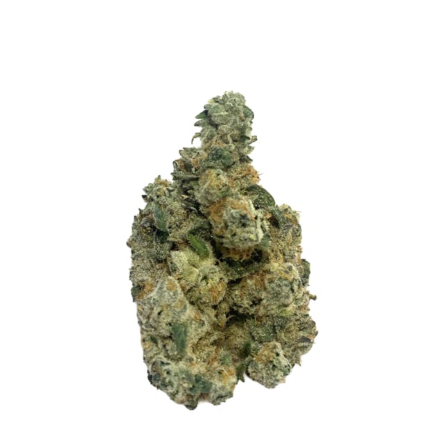 GLORIOUS | FUGU | DELI