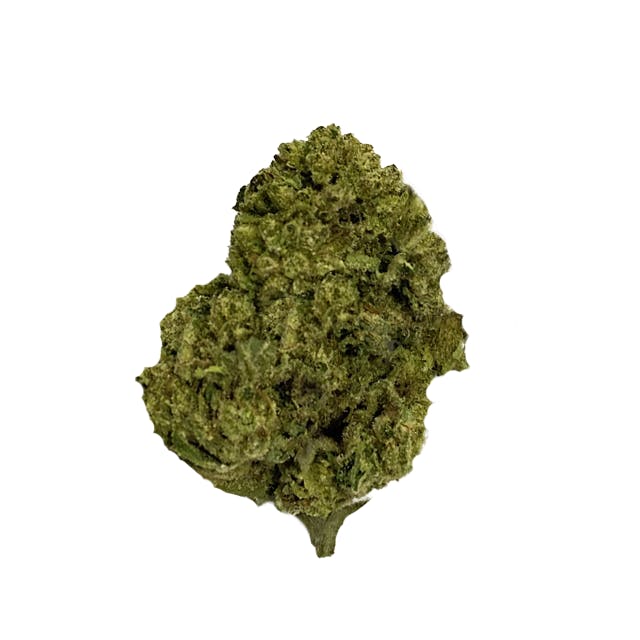 OCEANA GARDENS | HELLA JELLY | 3.5G