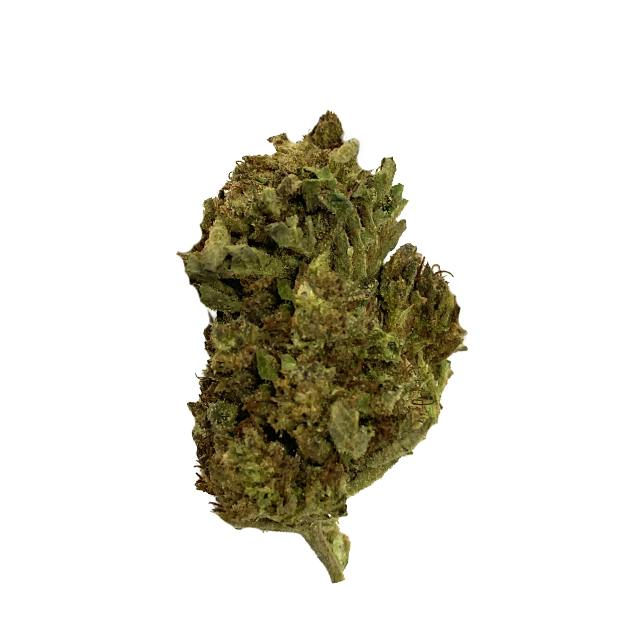 OCEANA GARDENS | ORANGE CREAM POP | 28G