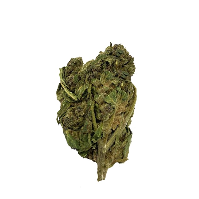 OCEANA GARDENS | BIGFOOT GLUE | 3.5G