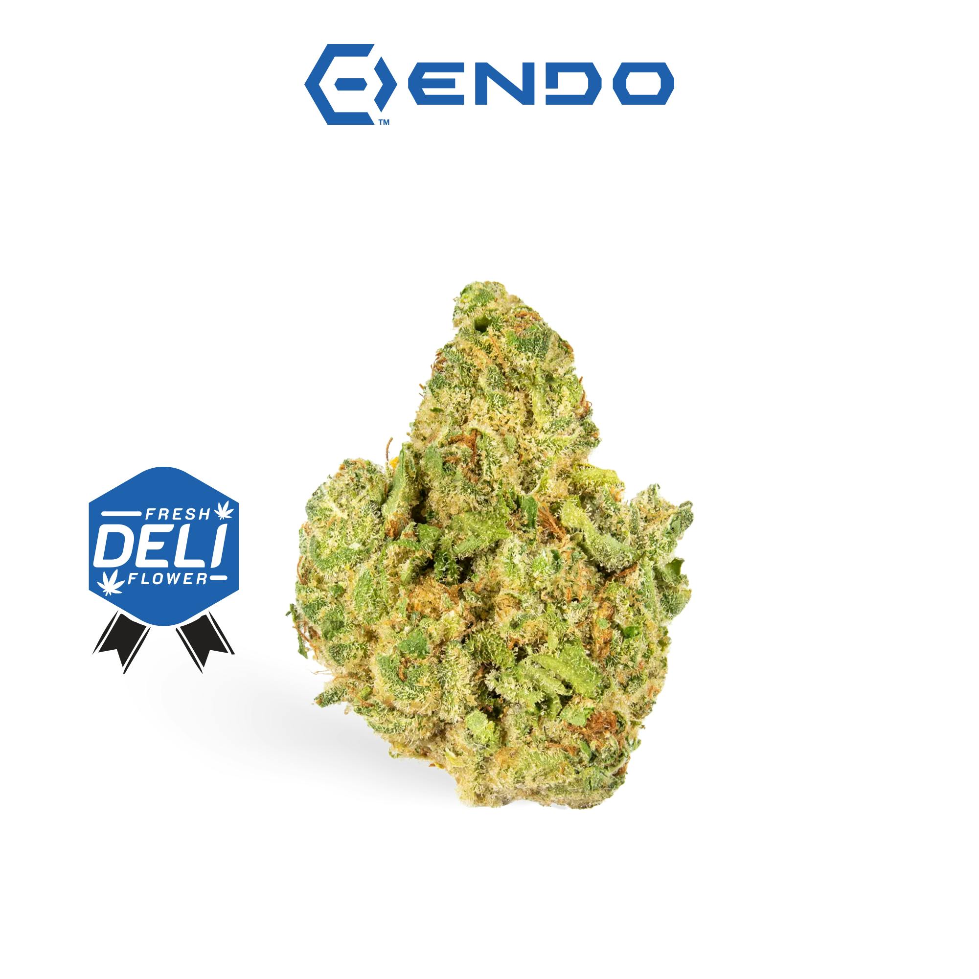 ENDO | CARNIVAL CANDY | DELI
