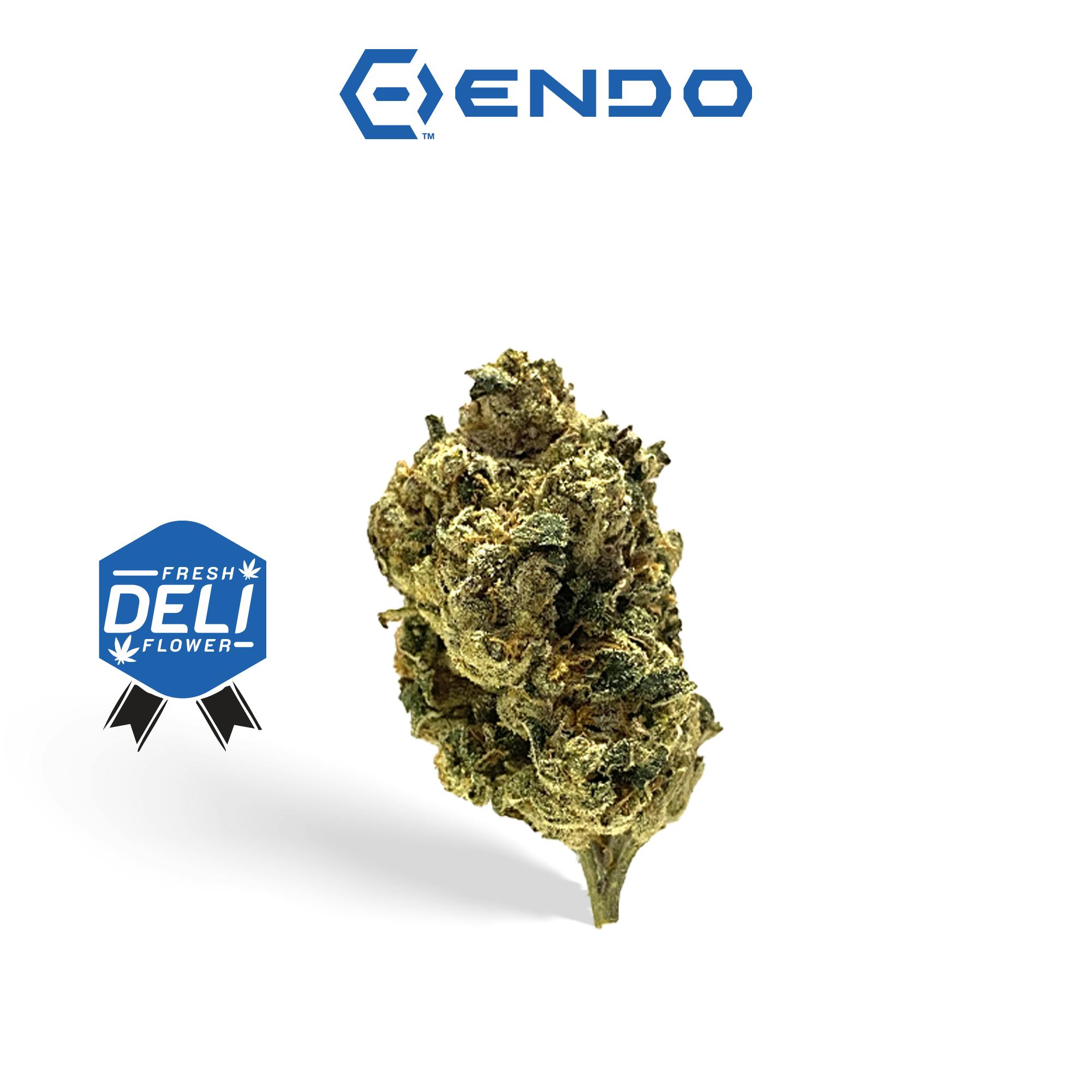 ENDO | DUMPSTER DIVER | DELI