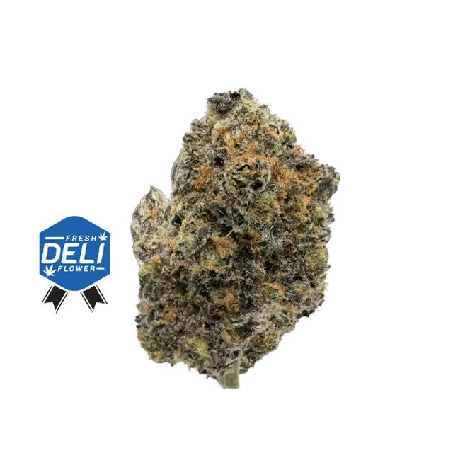 DOGHOUSE | POP ROCKS | DELI