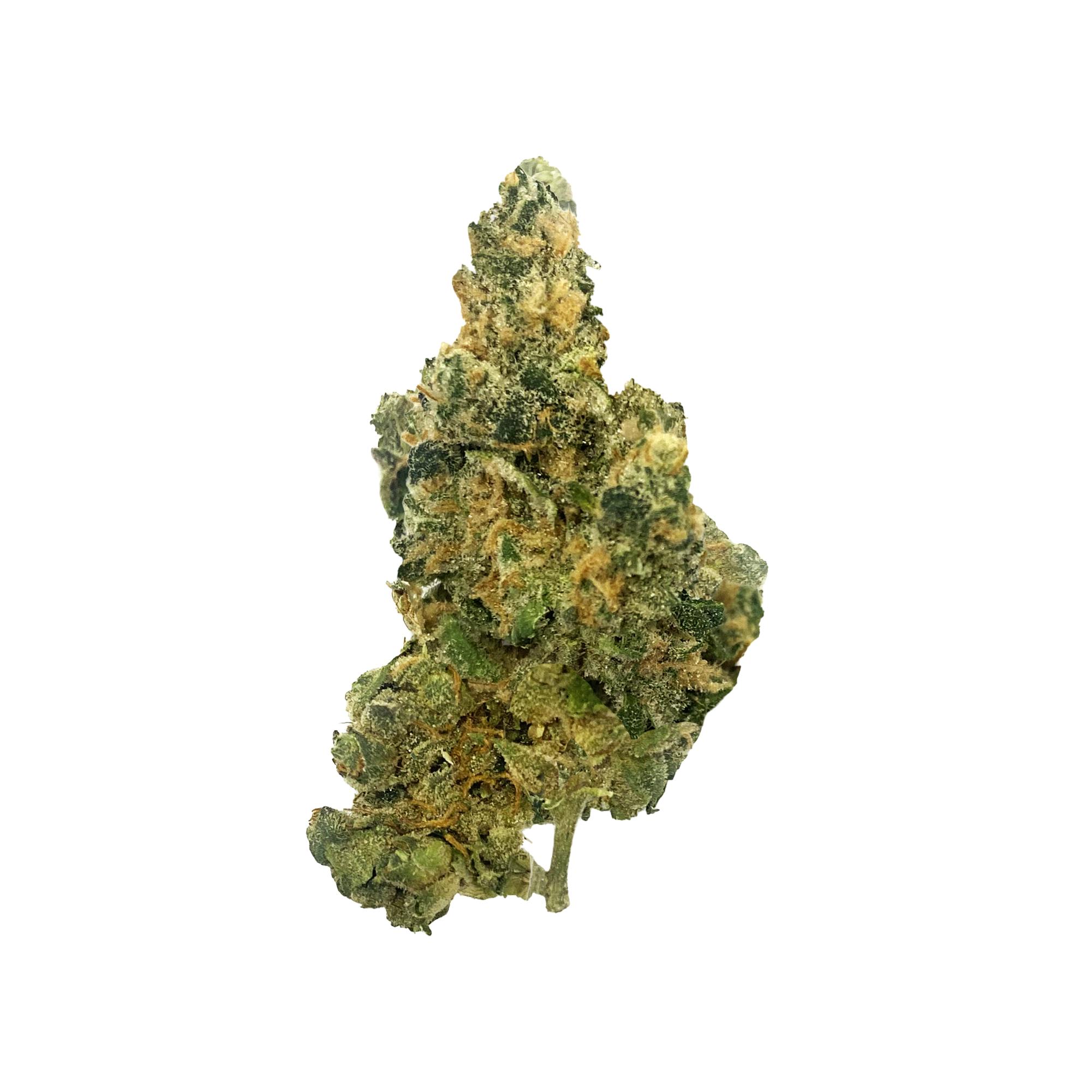 WEED SNOB | GARLIC BUTTER | 3.5G