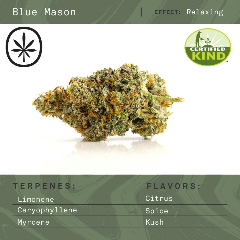 APOTHECARE | BLUE MASON | DELI