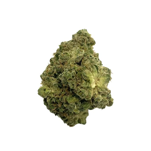 DUTCH TOUCH GENETICS | CLUSTERFUNK | 28G