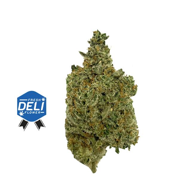 SOCIETY C | HEADBAND | DELI