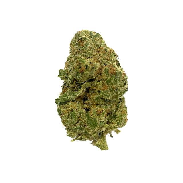 DUTCH TOUCH GENETICS | HASH D #2 | 28G