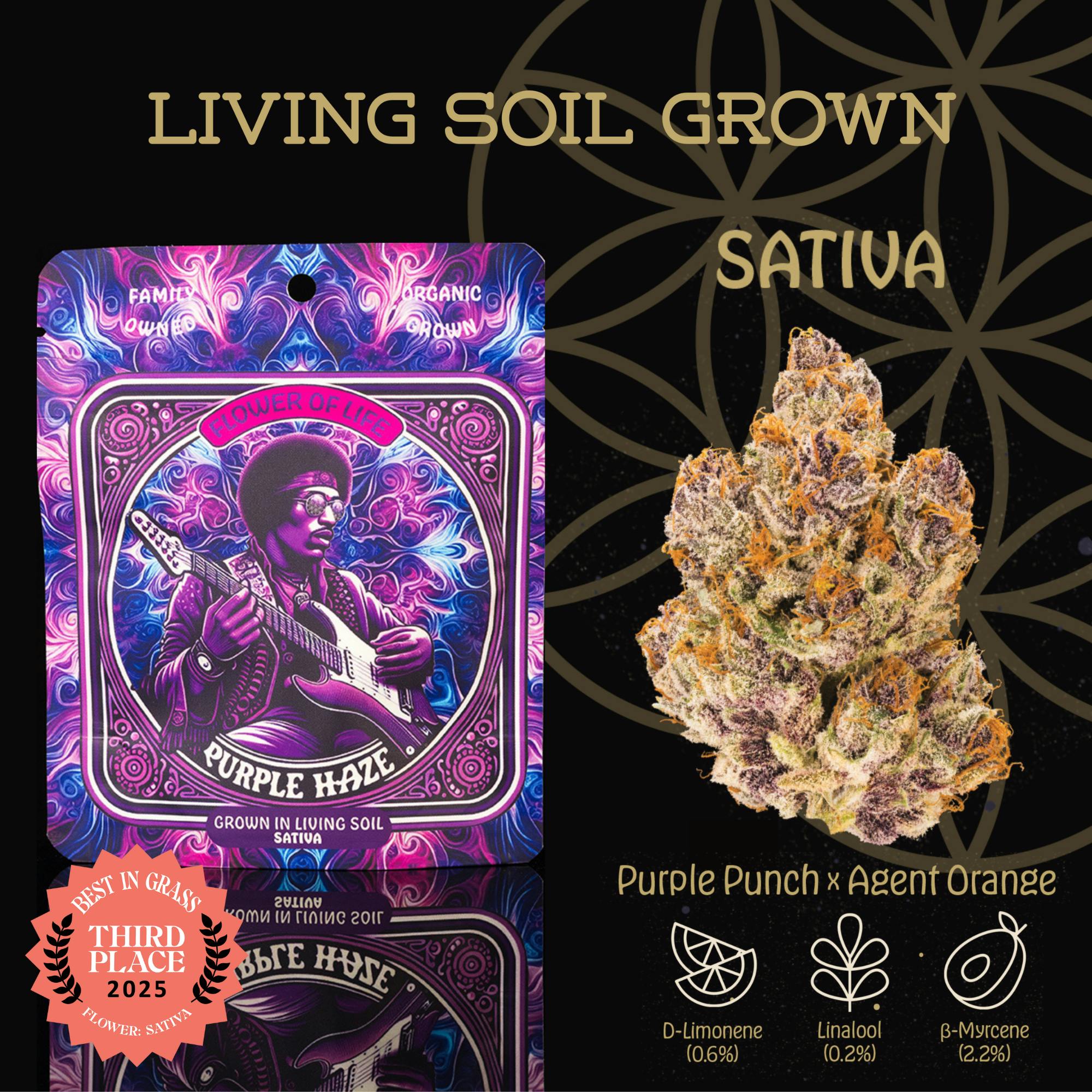 FLOWER OF LIFE | PURPLE HAZE | 3.5G