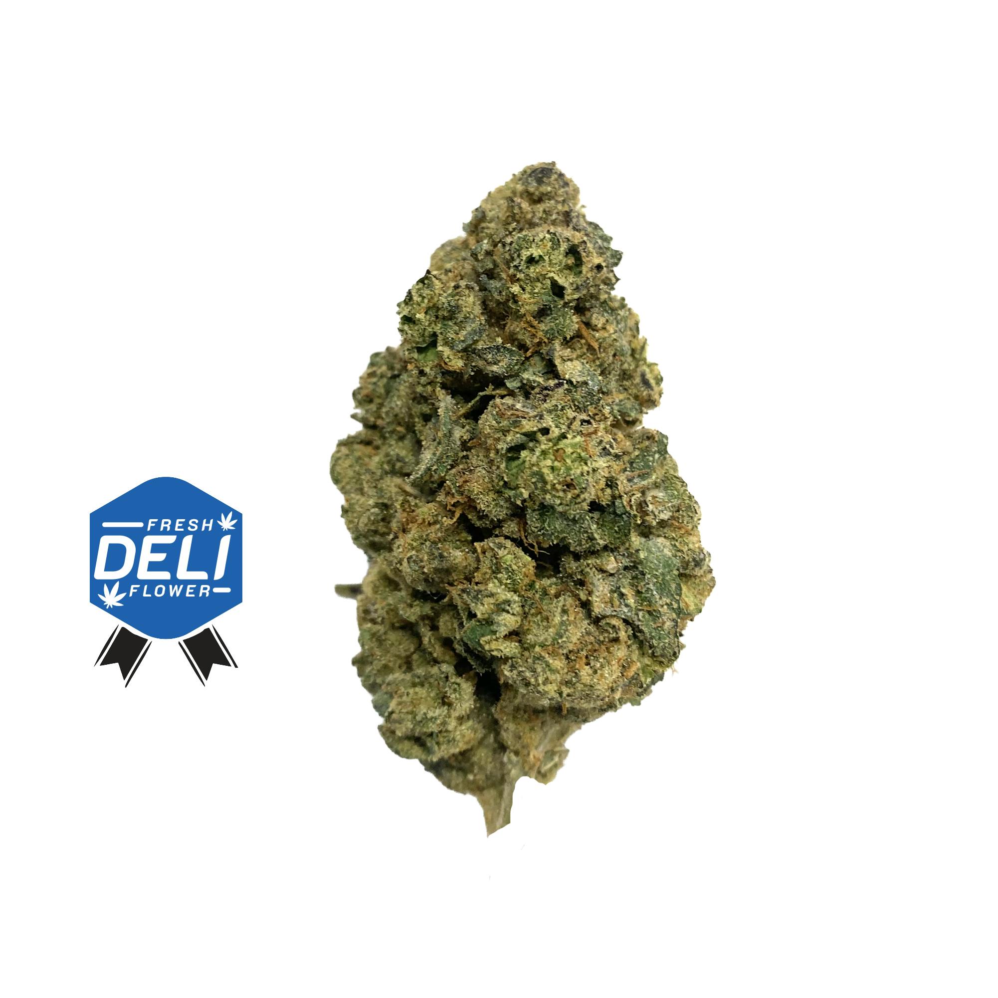 PLANT NERD | PINK PURFUME | DELI