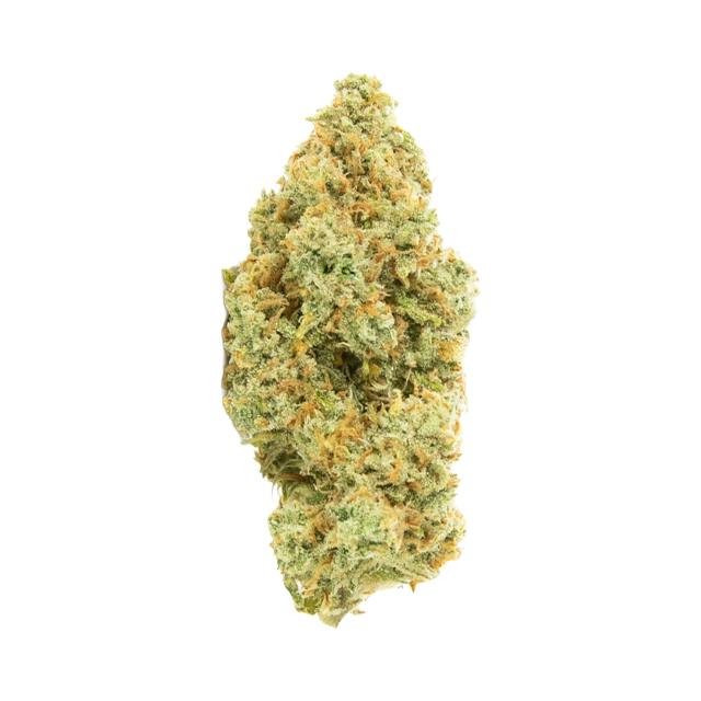 APOTHECARE | JACK HERER | 3.5G