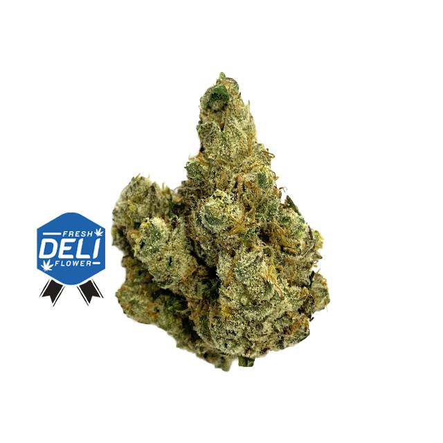 KAI | BLUE BUGATTI | DELI