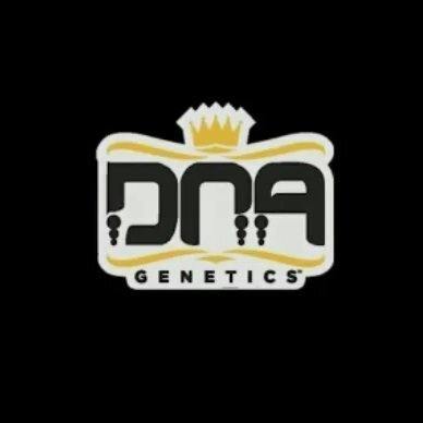 Pure Kush | DNA Genetics