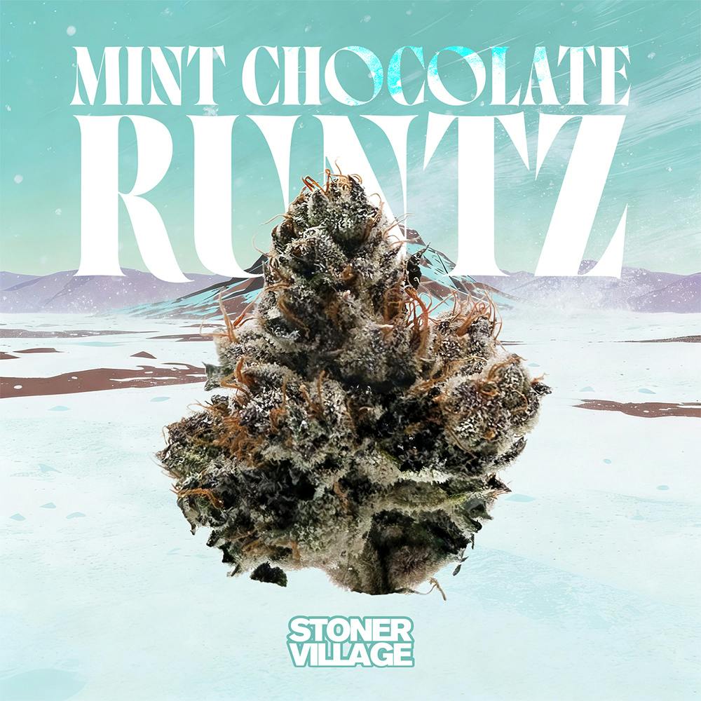 Mint Chocolate Runtz | Stoner Village - Premium