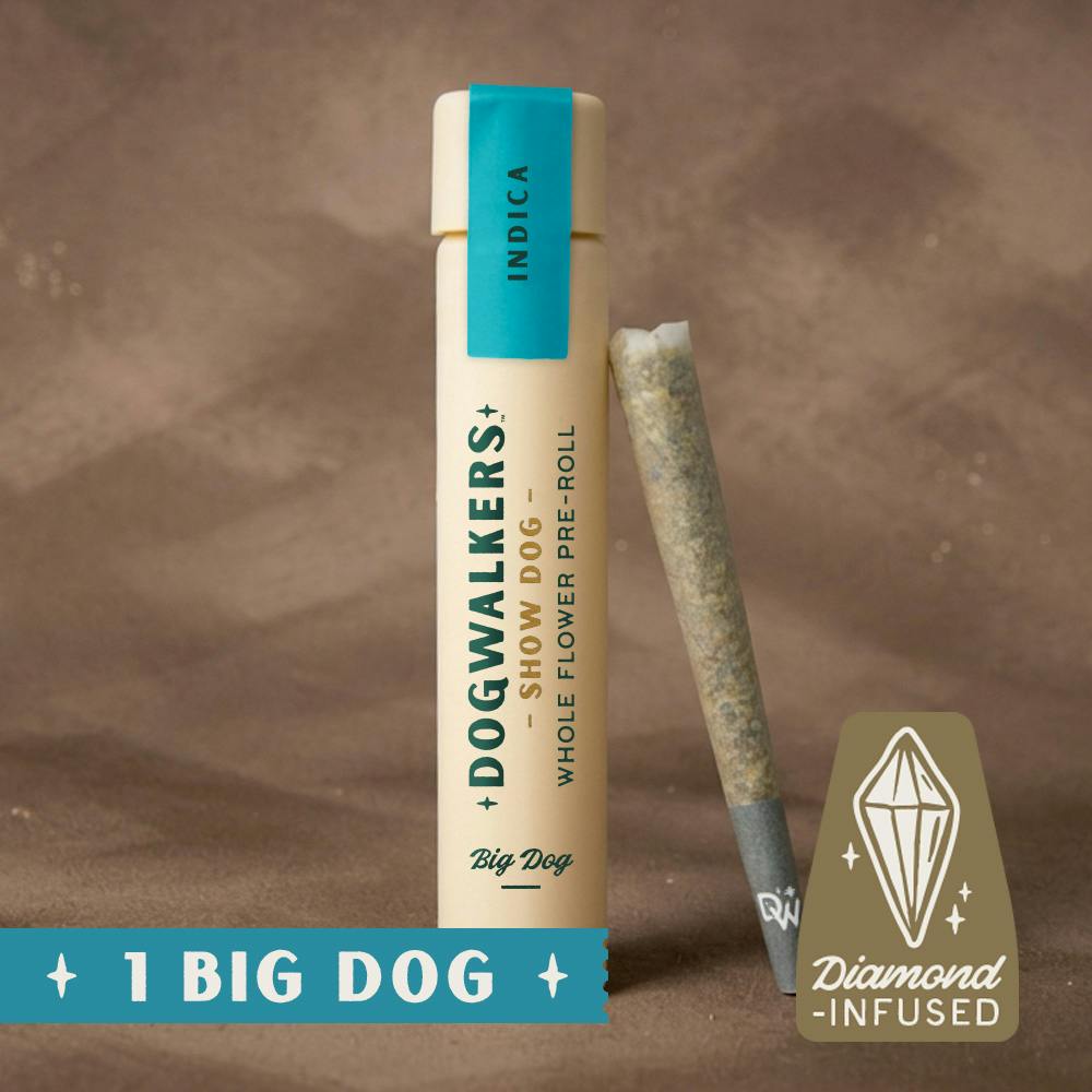 Brownie Points [1g] | Dogwalkers - Big Show Dog Infused Pre-Rolls