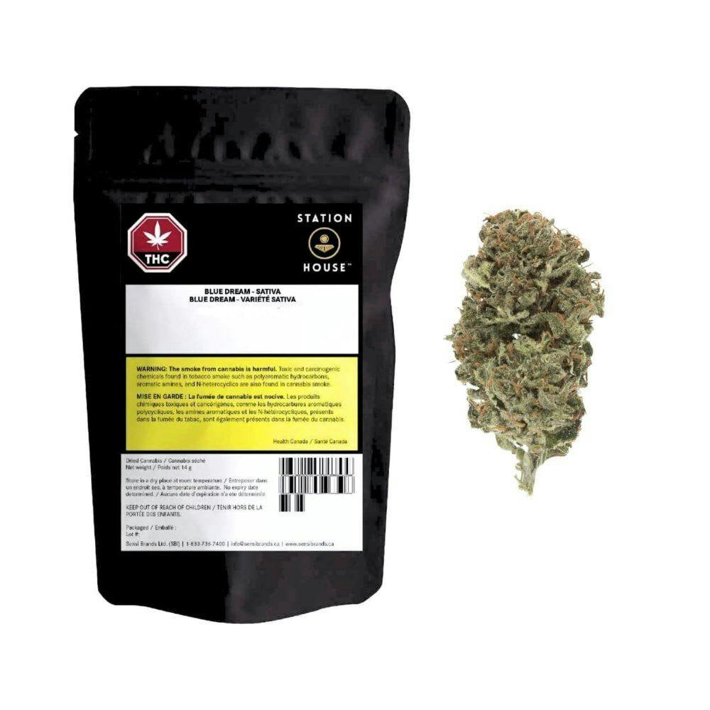 Blue Dream 14g Dried Flower