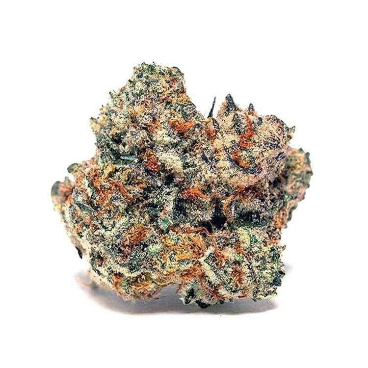 Flower - Sensi Star by ATC 29.67% - Terps 2.37% - Indica - 6607