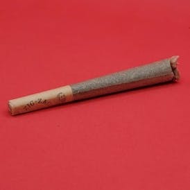 Pre-Roll - Flower - Pineapple Ice .5g by Denali Fire 23.11% - Terps 1.06% - Sativa - 4318