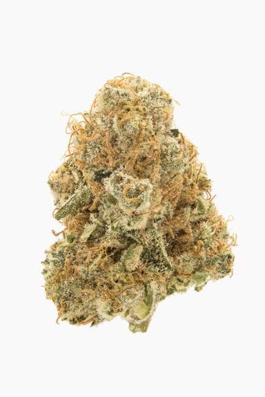 Flower - Bob's Cheddar by Worner Brothers 25.64% - Terps 2.20% - S/H - 9286